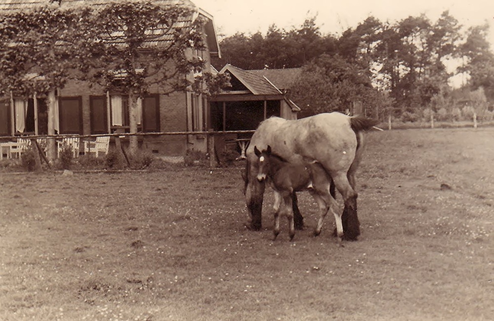 Boerderij "t Veentje, Harderwijkerweg 87.