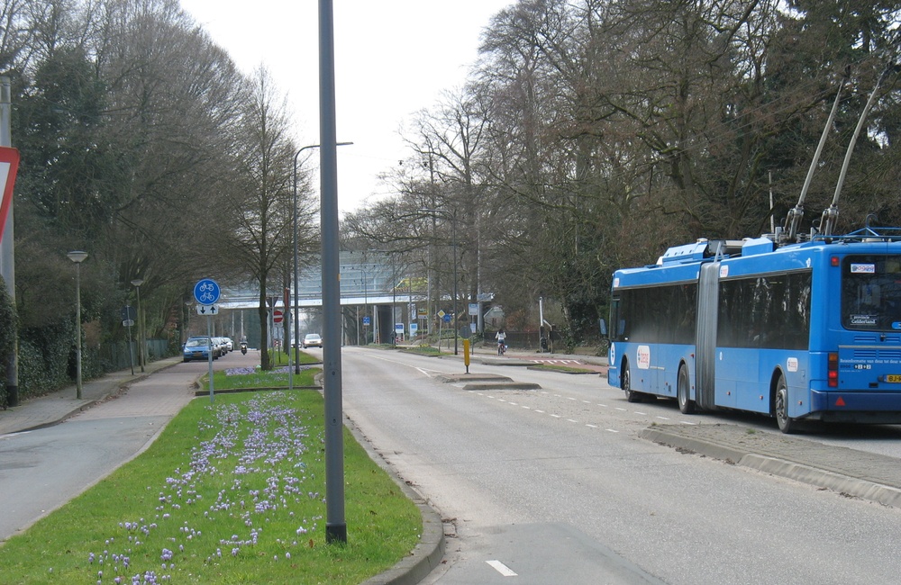 Arnhemsestraatweg met trolleybus (zie i)