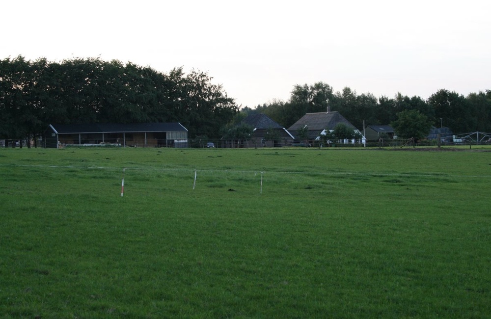 Boerderij Harry Loenen - 2007