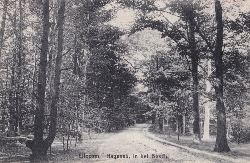 Hagenau - 1929