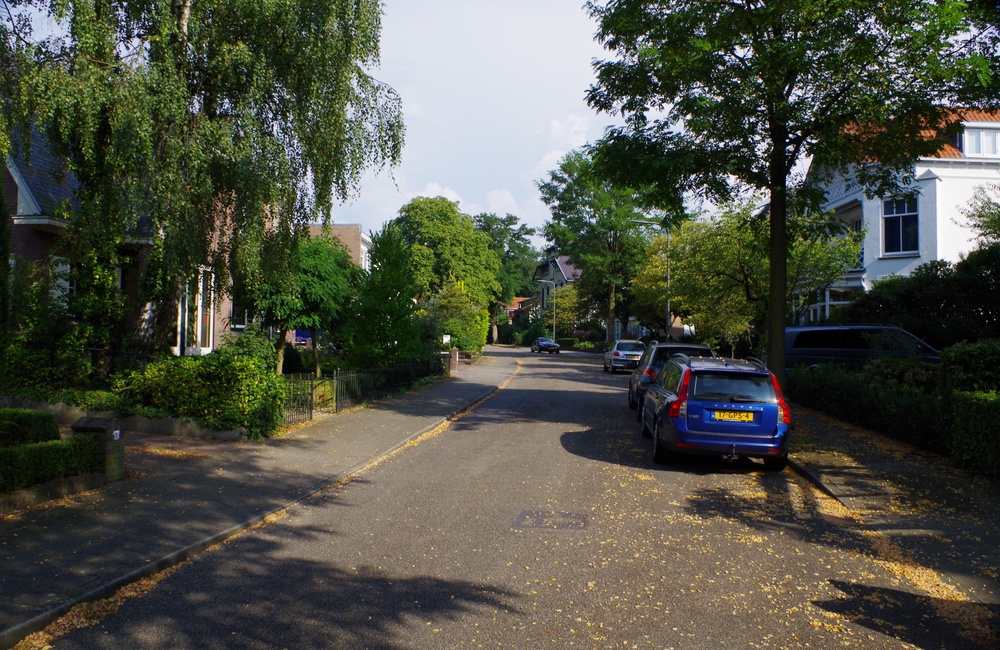 Schonenbergsingel