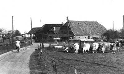 Boerderijcomplex (1975)