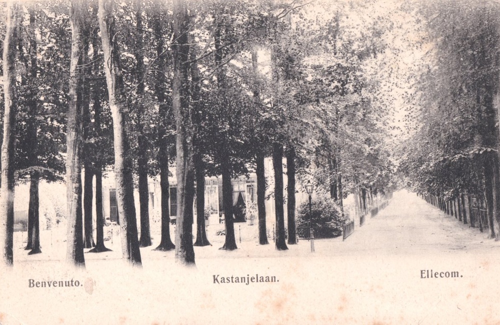 Kastanjelaan hoek Rijksweg als zandweg - 1904