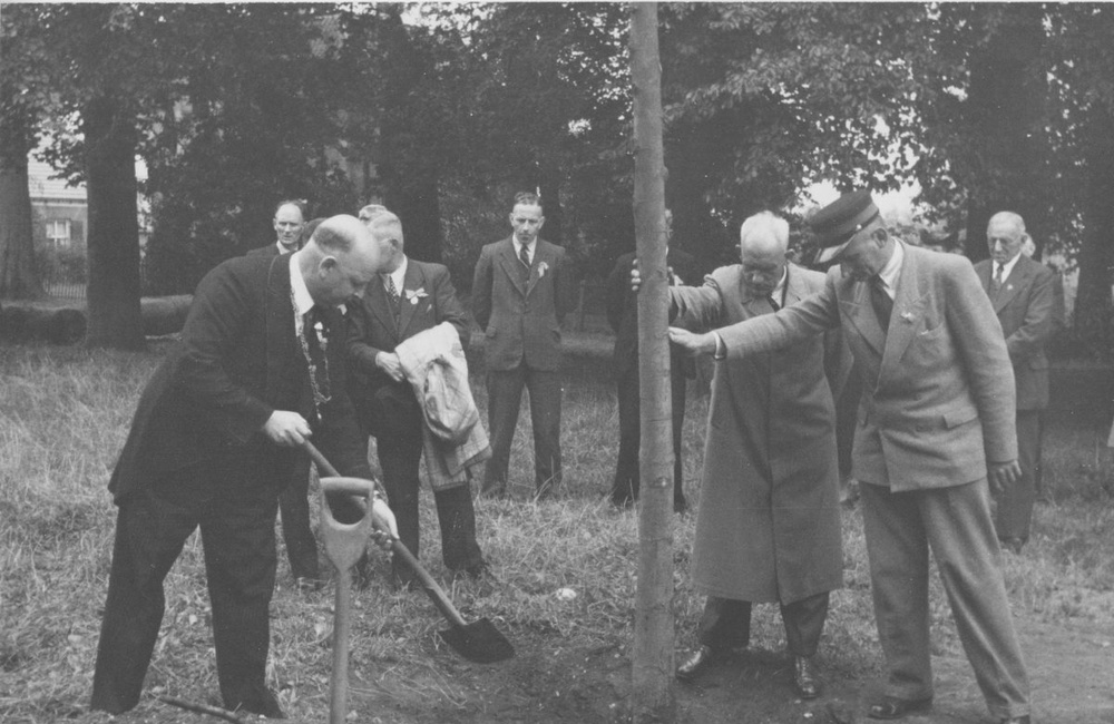 Boomplant op het plantsoen van Friedhof - 1948