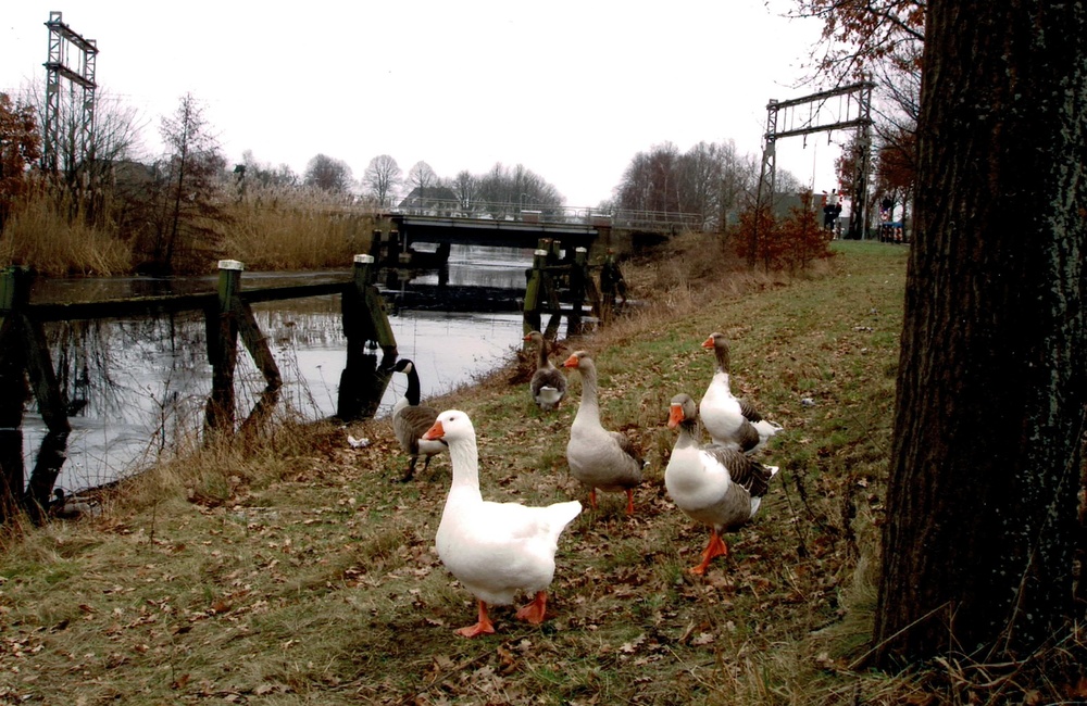 Spoorbrug over het kanaal