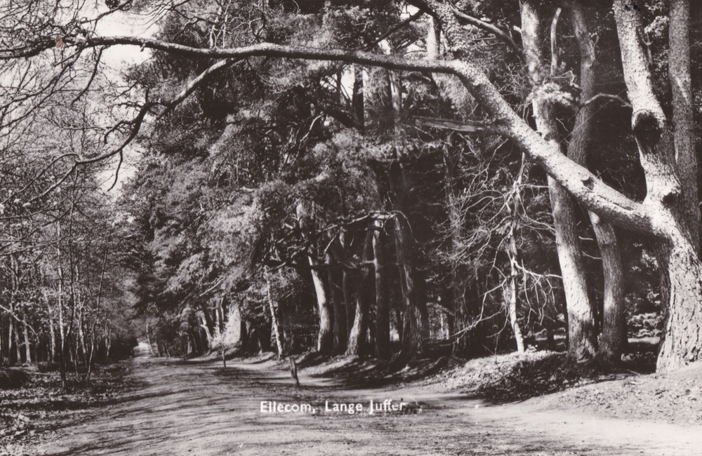 De Lange Juffer - 1964