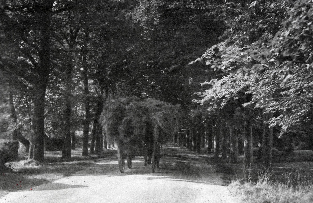 Badhuislaan 1931