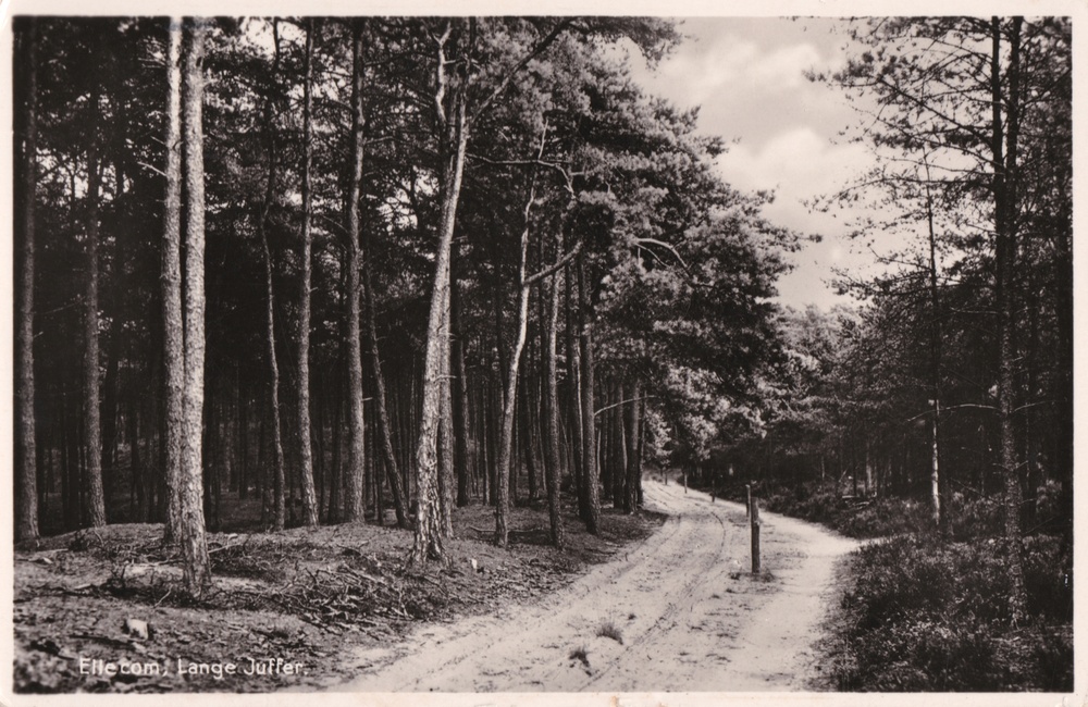 De Lange Juffer - 1954