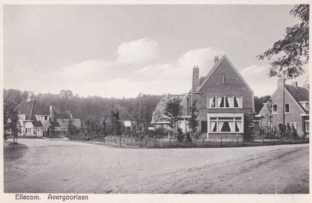 Laan van Avegoor vanaf de Binnenweg - 1934