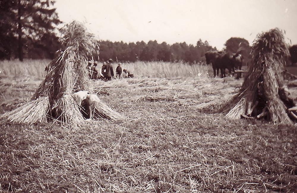 Boerderij "t Veentje ,Harderwijkerweg 87. BJ. Braakman op het land.