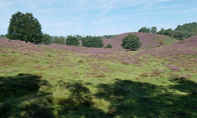 Elands Laagte