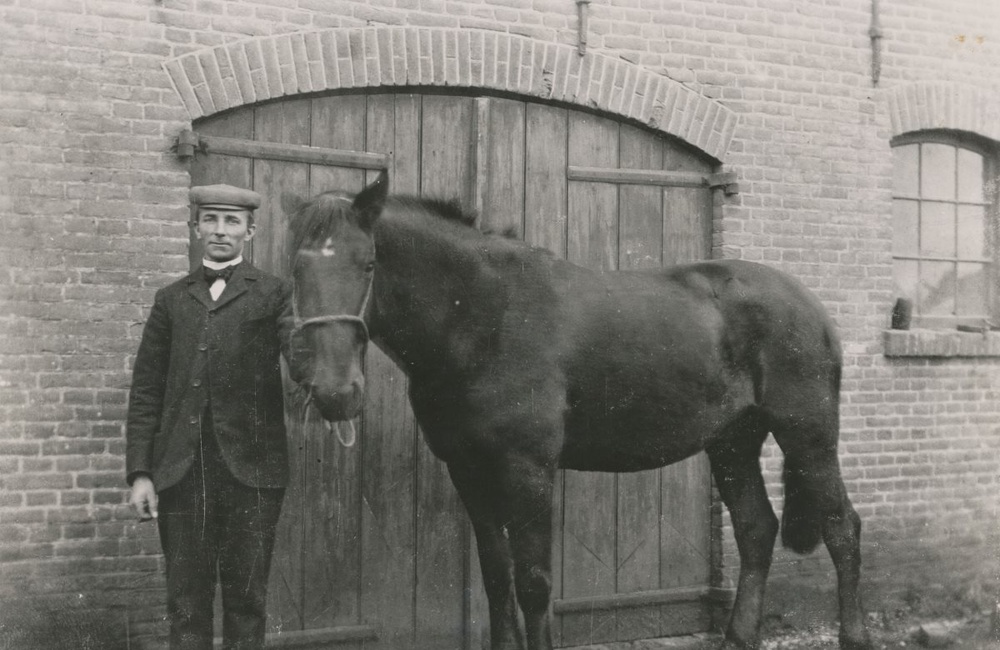 Molenaar Lentink met paard achter de maalderij - ca 1900: Collectie: Frans NasN