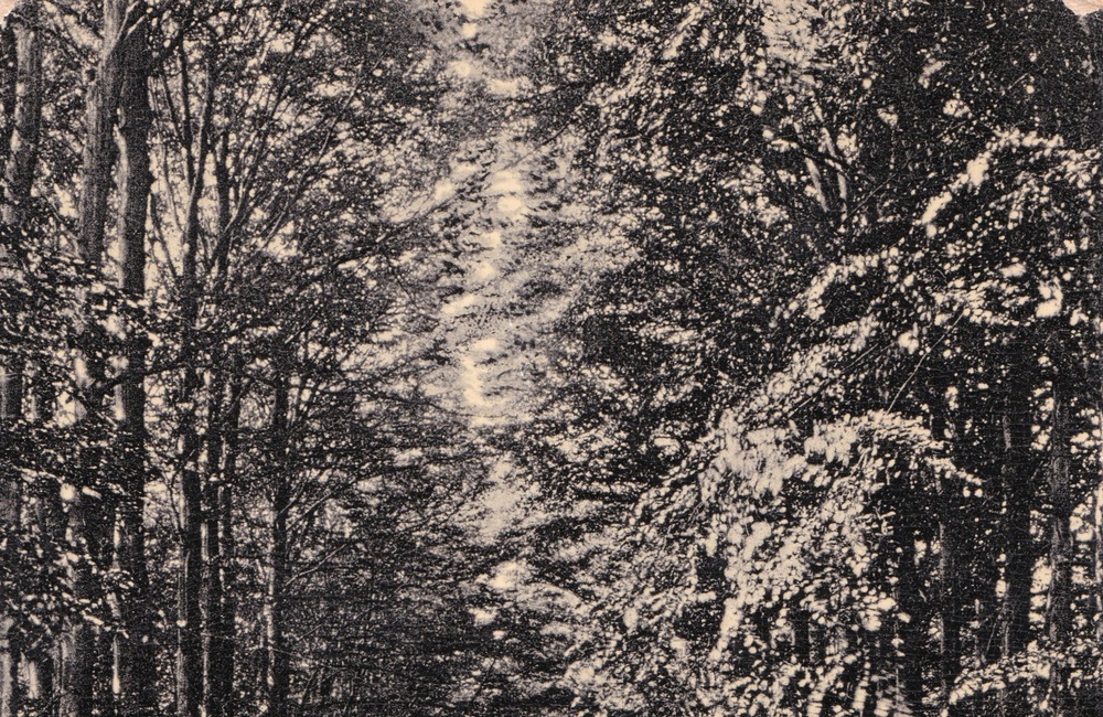 Middachterallee - 1919