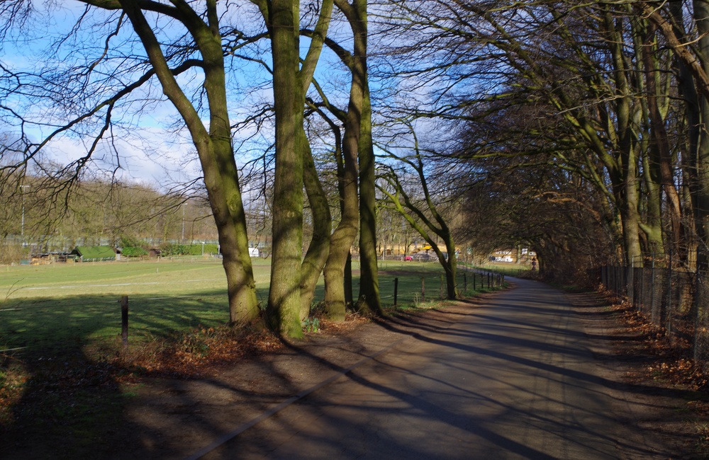 Berg en Heideweg, links paardenwei en snelweg