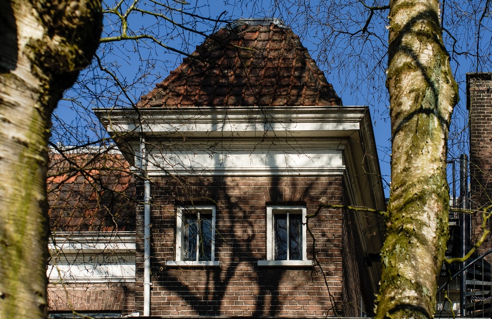 Detail dak en wit gepleisterde banden - 2016