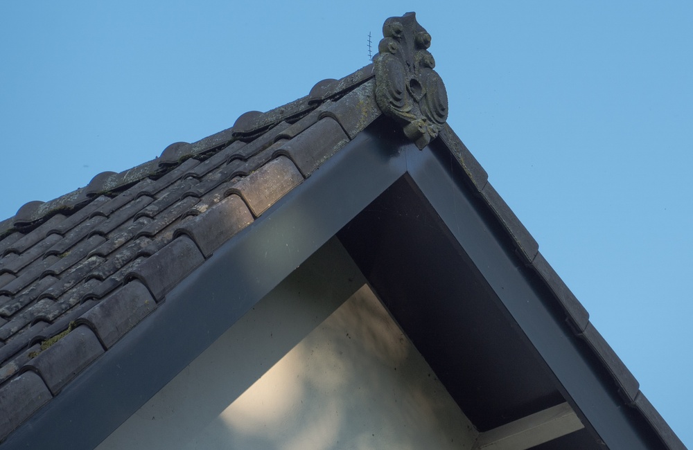 Detail dakrand - 2016