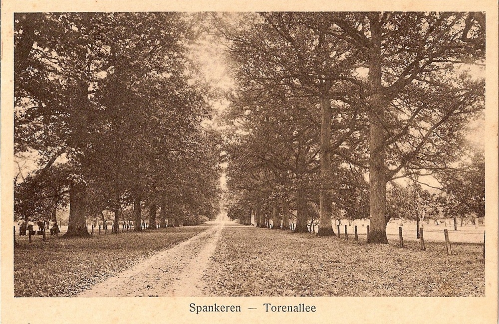 Torenallee