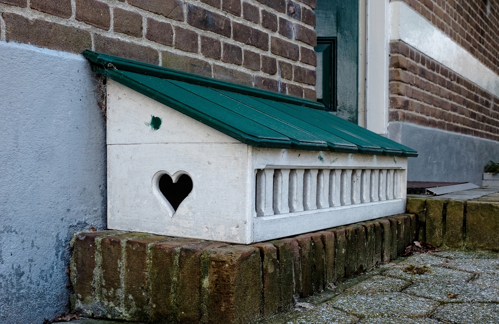 Derail boerderij Nieuw Nachtegaal - 2016