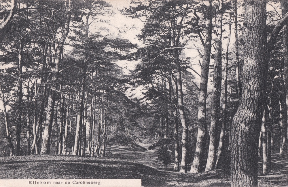 Carolinaberg - 1922