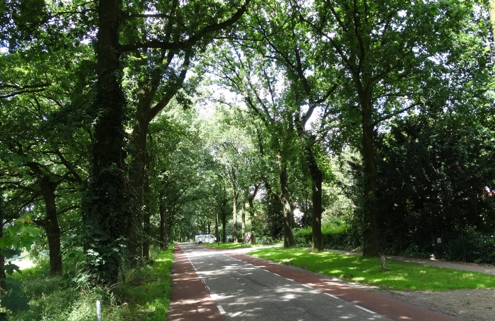 Schietbergseweg - 2016