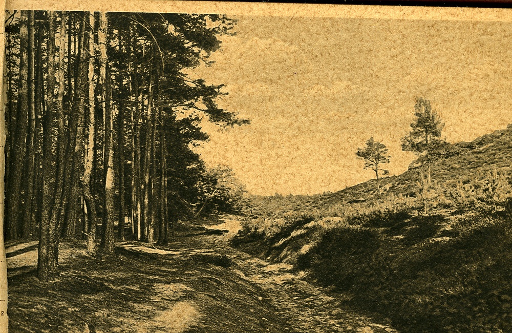 Weg naar de Jutberg