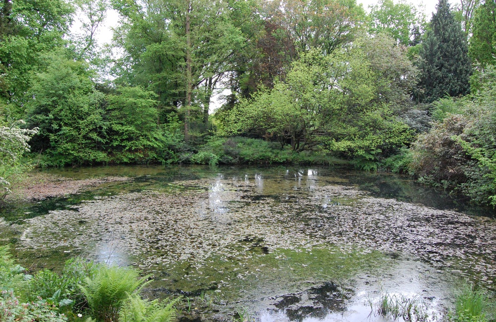 Overtuin Rozenhage - 2010