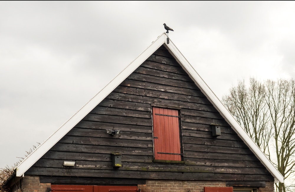 Schuur bij boerderij de Hoppenkamp - 2016