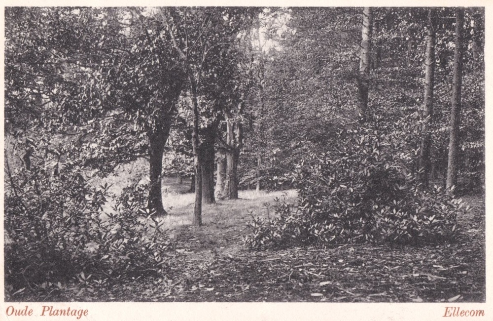 Oude Plantage - 1923