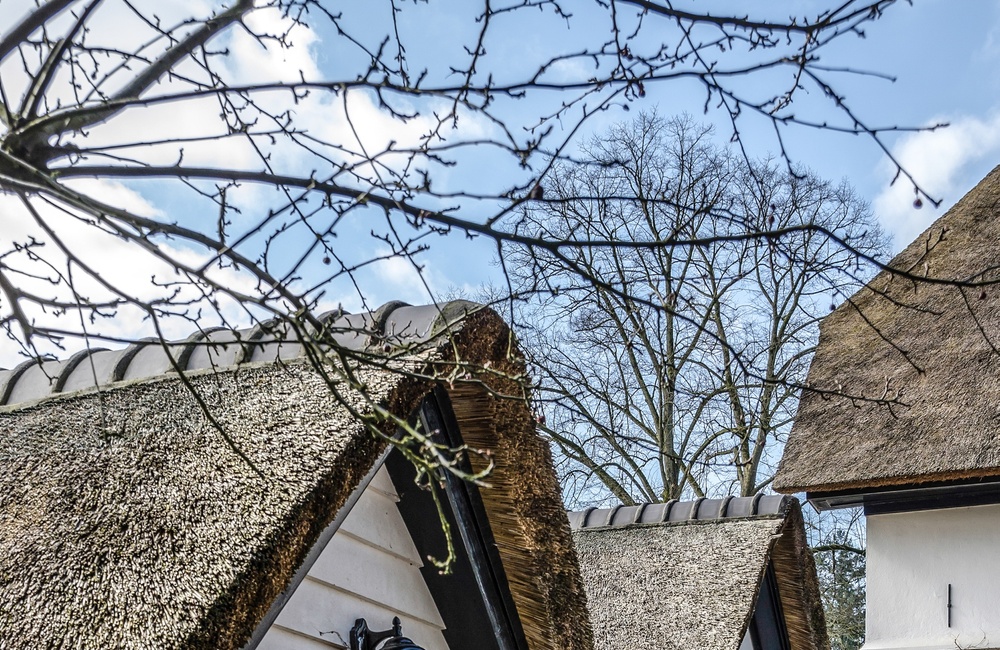 Schuren Villa In "t Zunneke  - 2016