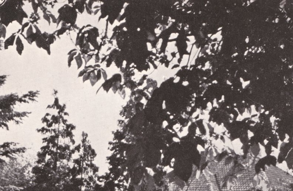 Ketelaar - 1955