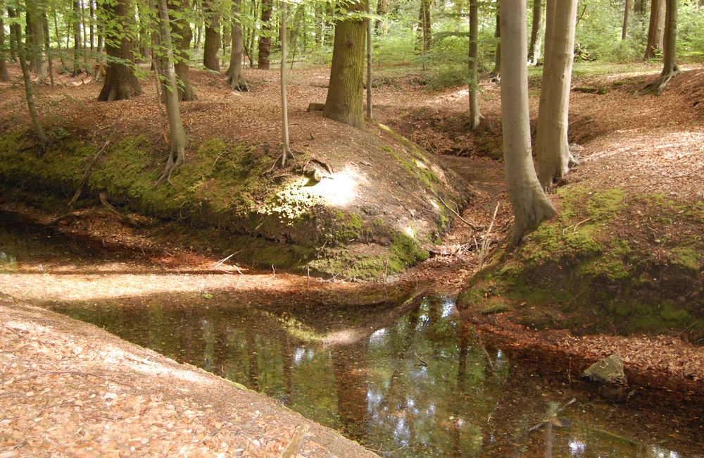Spreng op Daalhuizen  - 2010