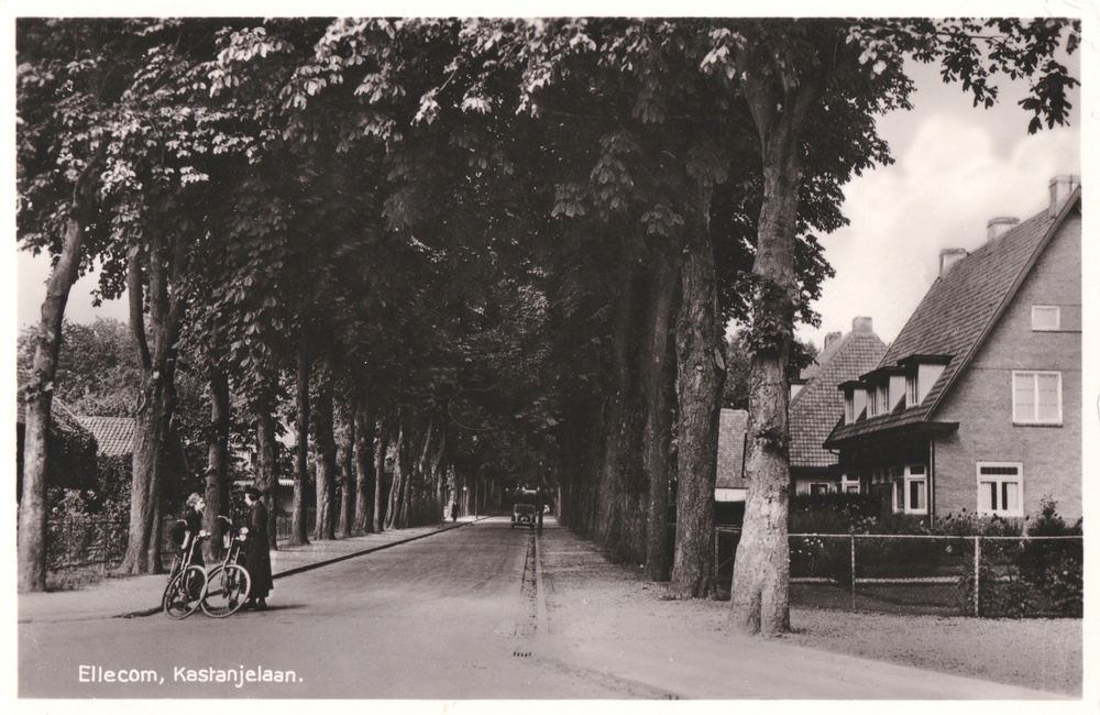 Kastanjelaan - 1933