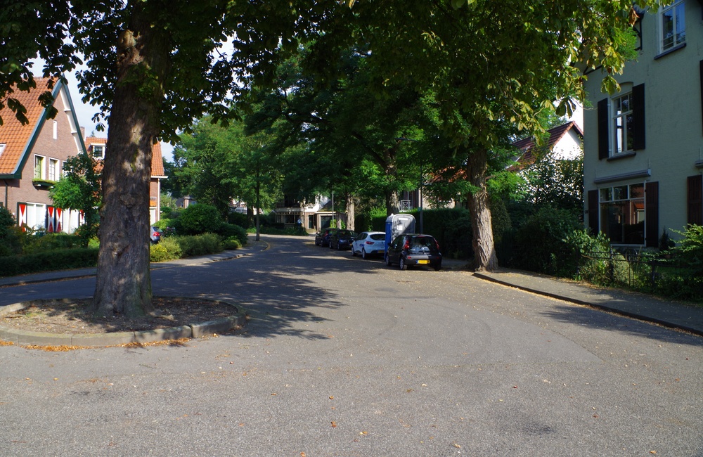 Schonenbergsingel - 2016