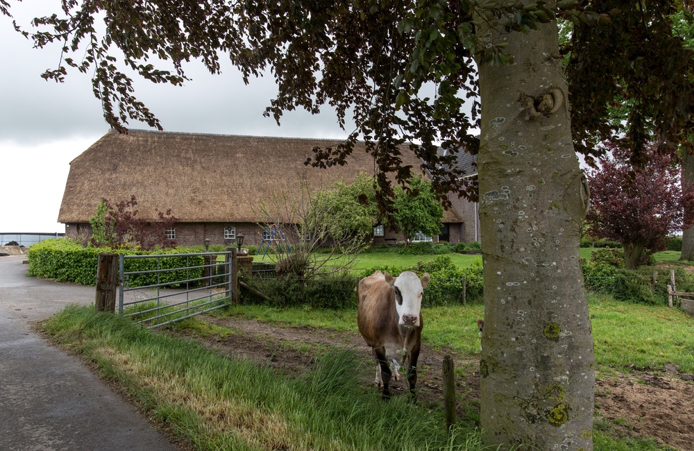 Boerderij Noordingsbouwing - 2016