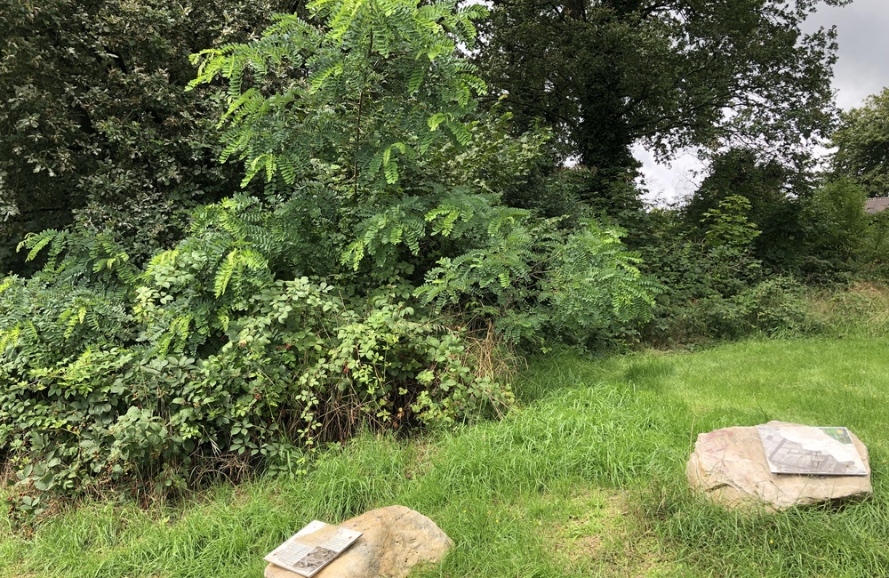 Gedenkstenen in de wildwal bij Leermolensenk