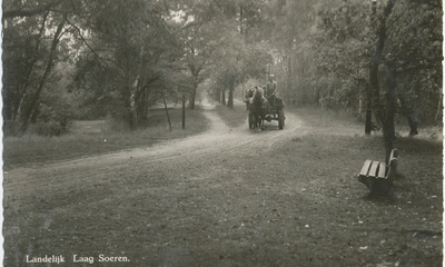 Schaapsallee Laag-Soeren