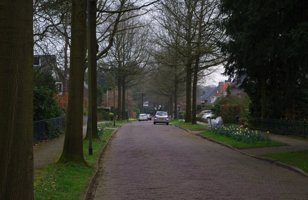 Stalen Enk 2016