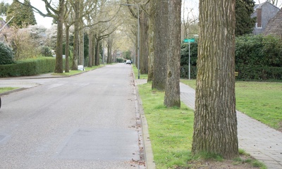 Hogeweg Velp