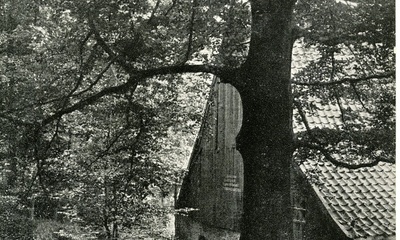 Velpsche Melkinrichting