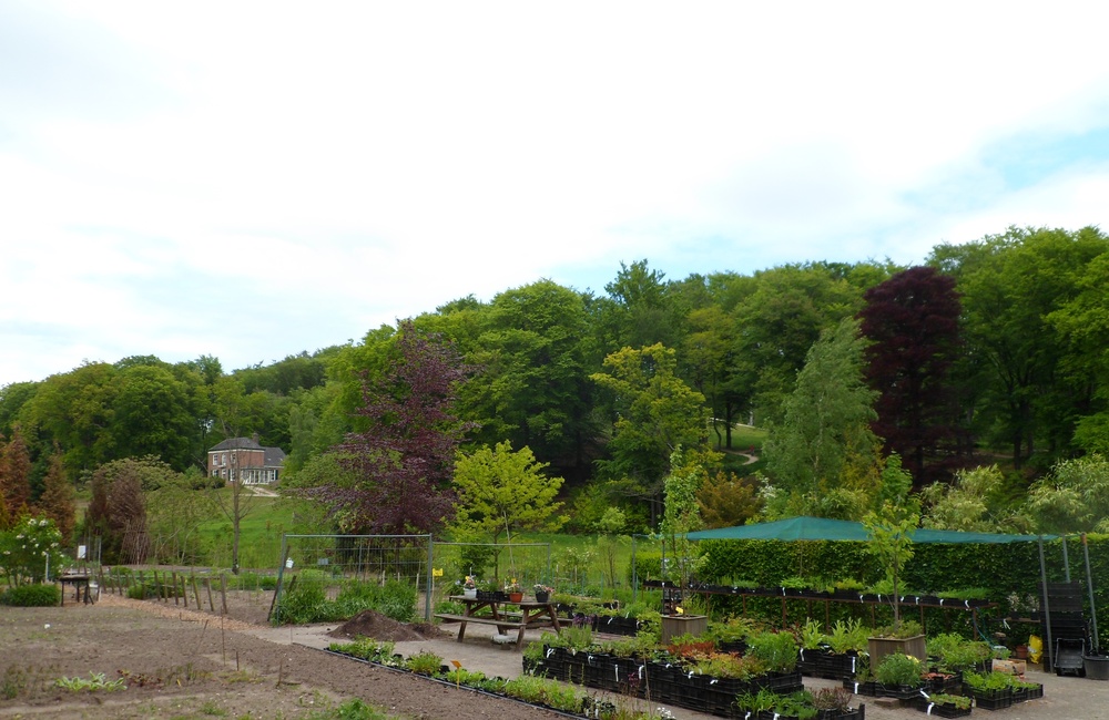 Pluktuin 2019