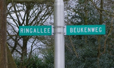Beukenweg Velp