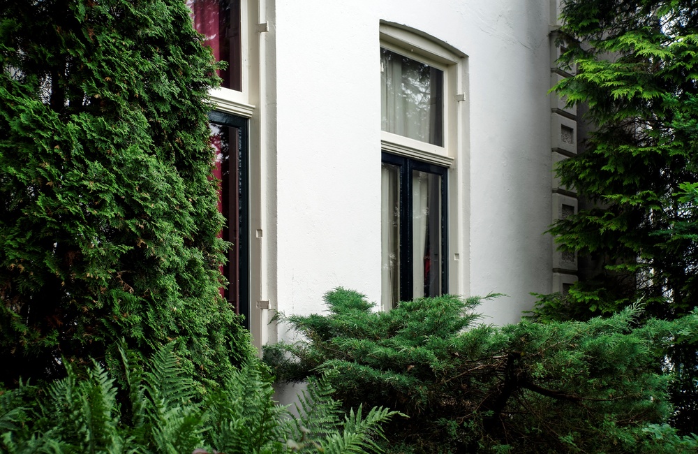 Detail voorgevel 2016