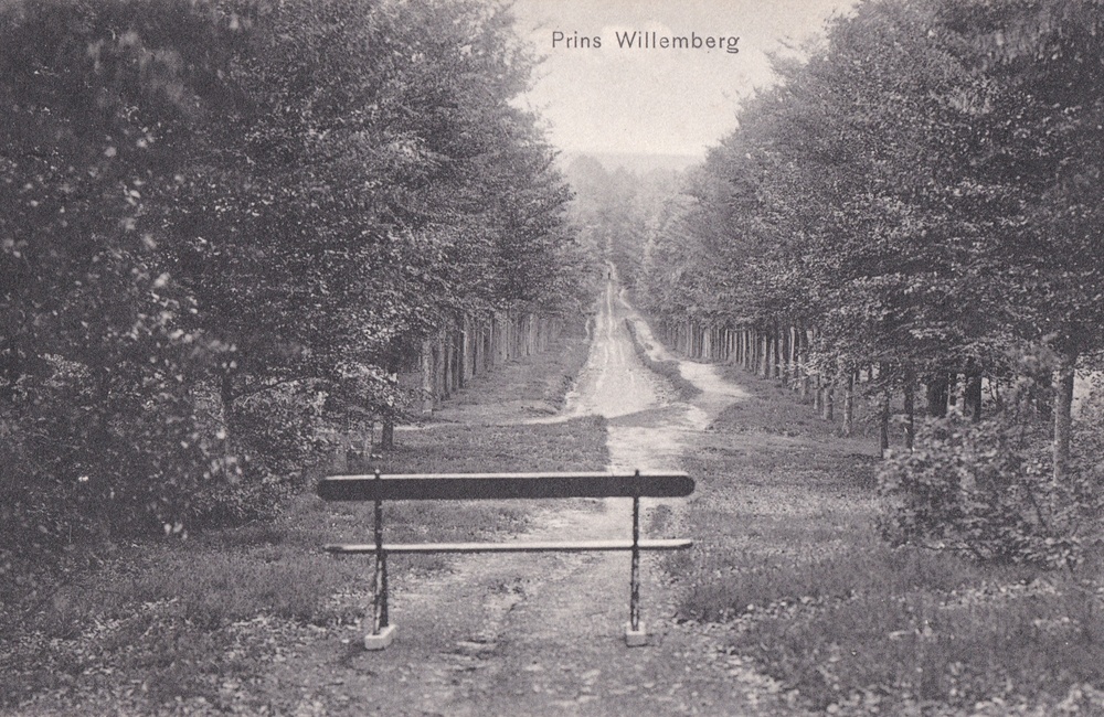 Prins Willemsberg - 1909