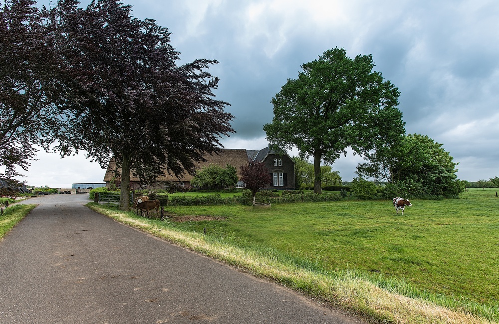 Boerderij Noordingsbouwing - 2016