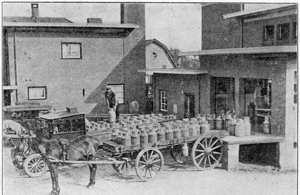 Melkfabriek Codimez - 1931