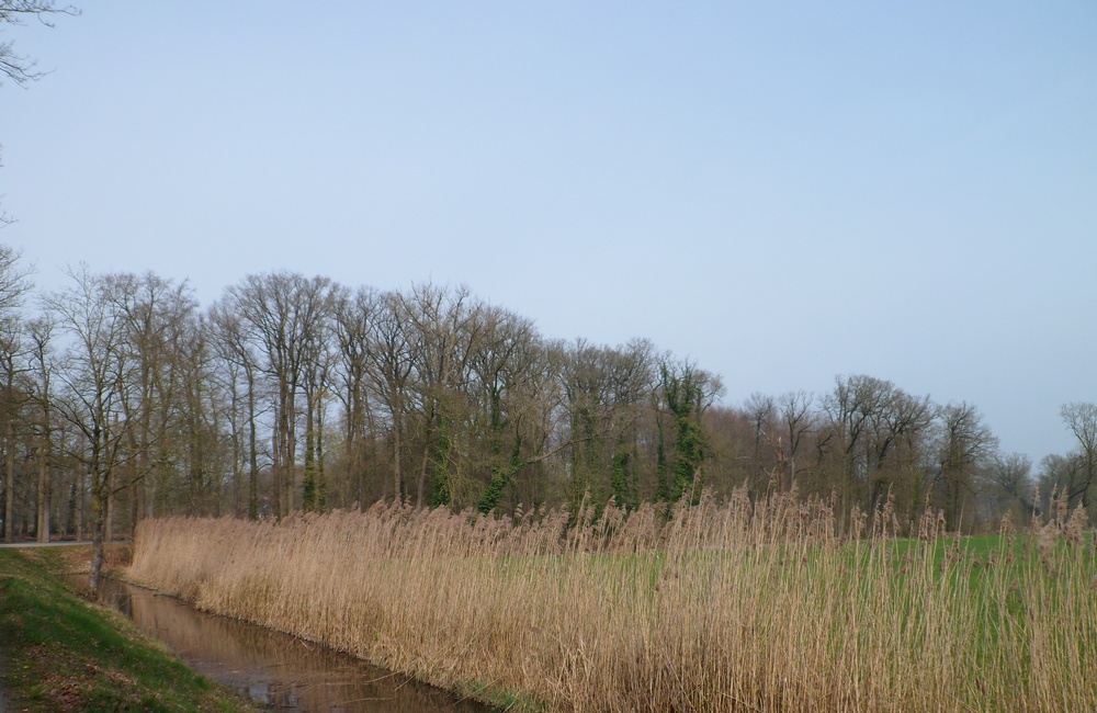 Beekhuizensebeek tussen Biljoen en Vischkom 2026