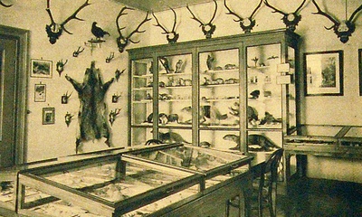 Streekmuseum voor den Veluwezoom