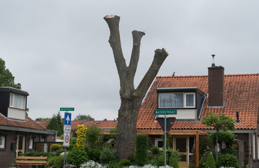 Waterstraat