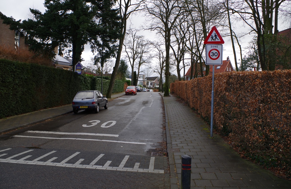Schonenbergsingel