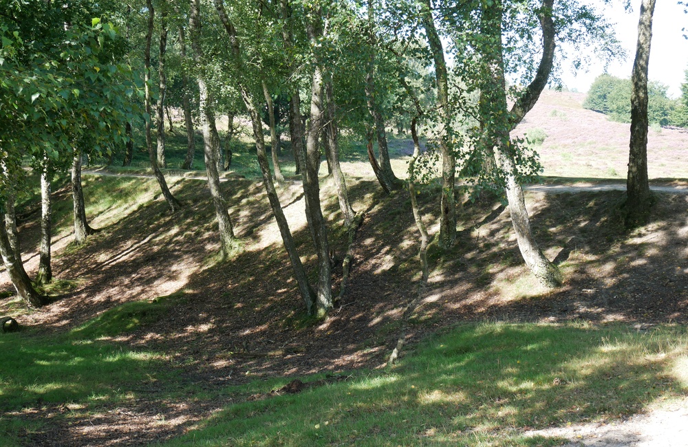 Waterkering Heuven, noordelijke dam - 2016